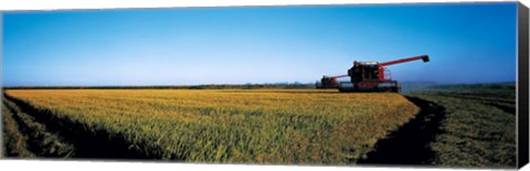 Framed Harvested rice field Glenn Co CA USA Print