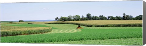 Framed Harvesting, Farm, Frederick County, Maryland, USA Print