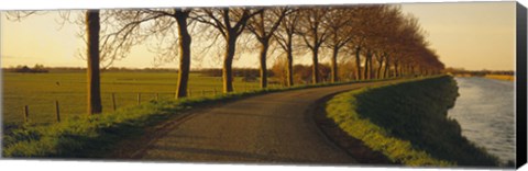 Framed Winding Road, Trees, Oudendijk, Netherlands Print