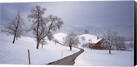 Framed Switzerland, Canton of Zug, Linden trees on a snow covered landscape Print