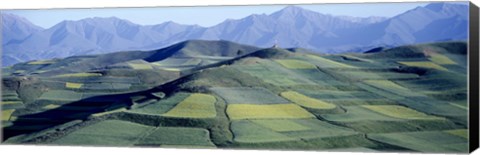 Framed Fields, Farm, Qinghai Province, China Print