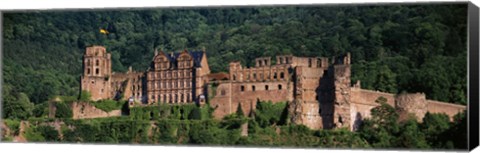 Framed Castle on a hillside, Heidelberg, Baden-Wurttemberg, Germany Print