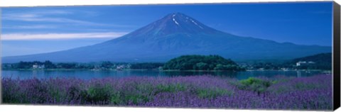 Framed Mount Fuji Japan Print