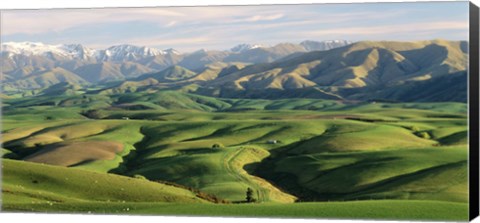 Framed Farmland S Canterbury New Zealand Print