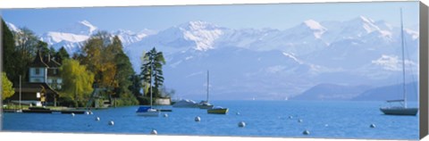 Framed Lake on the mountainside, Lake Thun, Hilterfingen, Canton of Bern, Switzerland Print