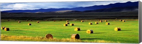 Framed Haystacks, Field, Jackson County, Colorado, USA Print