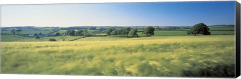 Framed Field Near Barnstaple, North Devon, England, United Kingdom Print