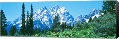 Framed Snow covered peaks, Grand Teton National Park WY Print