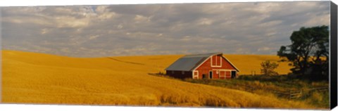 Framed Barn in a wheat field, Palouse, Washington State, USA Print