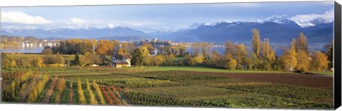 Framed Farm, Rapperswil, Zurich, Switzerland Print