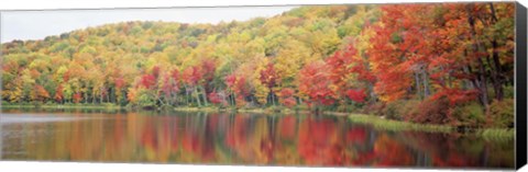 Framed Savoy Mountain State Forest, Massachusetts, USA Print