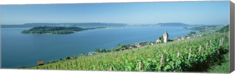 Framed Vineyard near a village, Lake Biel, Ligerz, Canton of Bern, Switzerland Print