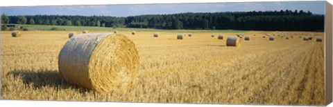 Framed Bales of Hay Southern Germany Print