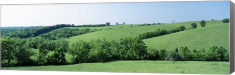 Framed Horse Farm, Kentucky, USA Print