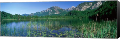 Framed Alpsee Bavaria Germany Print