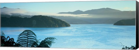 Framed Kenepuru, Marlborough Sound, New Zealand Print