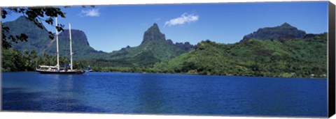 Framed Sailboats Sailing In The Ocean, Opunohu Bay, Moorea, French Polynesia Print