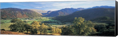 Framed High angle view of trees on the mountainside, Borrowdale, Lake District, England Print