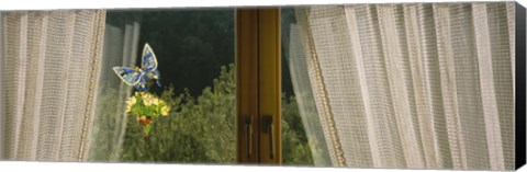 Framed Close-Up Of Flowers And A Butterfly Painted On A Window, Germany Print