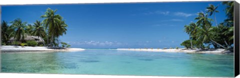 Framed Palm trees on the beach, Tikehau, French Polynesia Print