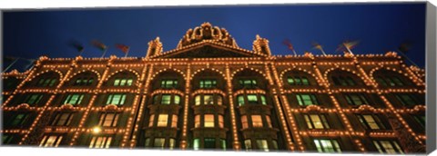 Framed Low angle view of a building lit up at night, Harrods, London, England Print