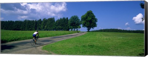 Framed Rear view of a person riding a bicycle on the road, Black Forest, Germany Print