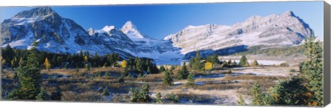 Framed Landscape of Mt Assiniboine Provincial Park Print