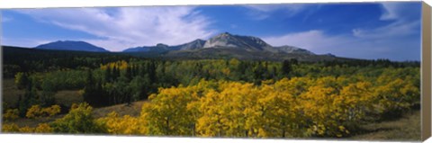 Framed Valley of Trees in Wateron Lakes Print