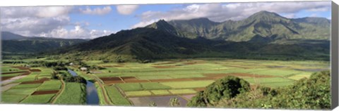 Framed High angle view of a field with mountains in the background, Hanalei Valley, Kauai, Hawaii, USA Print