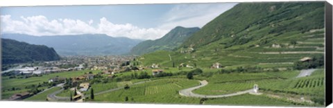 Framed Curved road passing through a landscape, Bolzano, Alto Adige, Italy Print