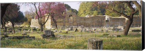 Framed Ruins of a building, Ancient Olympia, Peloponnese, Greece Print