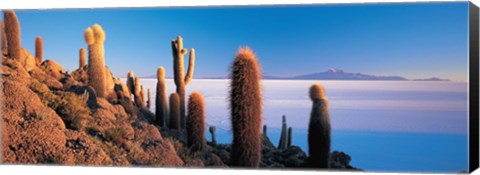 Framed Cactus on a hill, Salar De Uyuni, Potosi, Bolivia Print