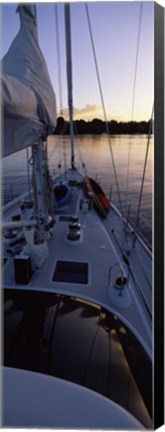 Framed Sailboat in the sea, Kingdom of Tonga,Vava&#39;u Group of Islands, South Pacific (vertical) Print