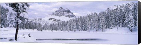 Framed Trees along a frozen lake, Lake Antorno, Tre Cime Di Lavaredo, Dolomites, Cadore, Province of Belluno, Veneto, Italy Print