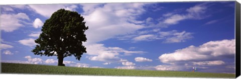 Framed Tree in a field with woman walking along with balloons, Baden-Wurttemberg, Germany Print