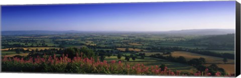 Framed Trees on a landscape, Uley, Cotswold Hills, Gloucestershire, England Print