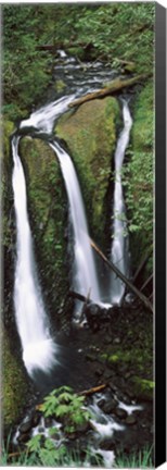 Framed High angle view of a waterfall in a forest, Triple Falls, Columbia River Gorge, Oregon (vertical) Print