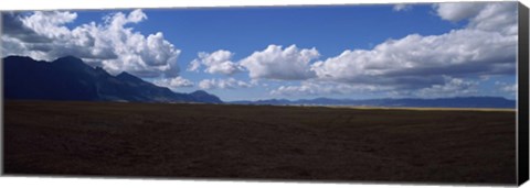 Framed Cattle pasture, Highway N7 from cape town to Namibia towards Citrusdal, Western Cape Province, South Africa Print