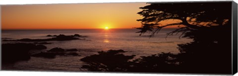 Framed Sunset over the sea, Point Lobos State Reserve, Carmel, Monterey County, California, USA Print