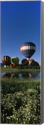 Framed Reflection of hot air balloons in a lake, Hot Air Balloon Rodeo, Steamboat Springs, Colorado, USA Print