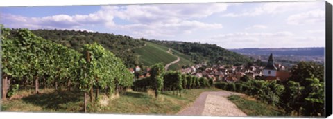 Framed Vineyards, Obertuerkheim, Stuttgart, Baden-Wurttemberg, Germany Print