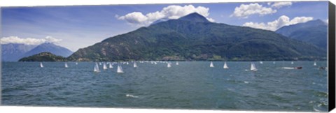 Framed Sailboats in the lake, Lake Como, Como, Lombardy, Italy Print