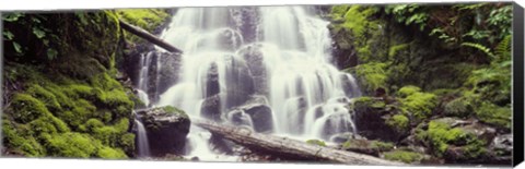 Framed Waterfall in a forest, Waheena Falls, Hood River, Oregon, USA Print