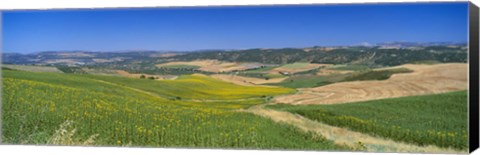 Framed Agricultural fields, Ronda, Malaga, Andalusia, Spain Print