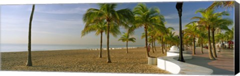 Framed Palm trees on the beach, Las Olas Boulevard, Fort Lauderdale, Florida, USA Print