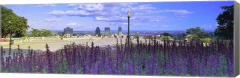 Framed Blooming flowers with city skyline in the background, Kondiaronk Belvedere, Mt Royal, Montreal, Quebec, Canada 2010 Print