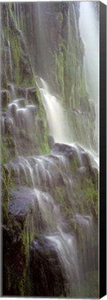 Framed Waterfall in a forest, Proxy Falls, Three Sisters Wilderness Area, Willamette National Forest, Oregon (black and white) Print