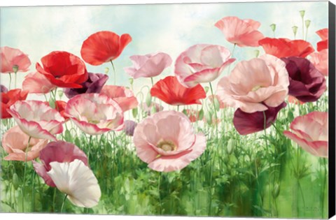 Framed Poppies Pleasure Print