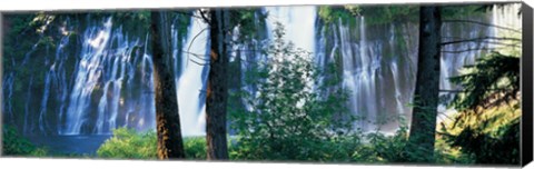 Framed Waterfall in a forest, McArthur-Burney Falls Memorial State Park, California Print