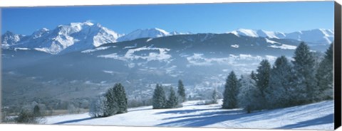 Framed Trees with snow covered mountains in winter, Combloux, Mont Blanc Massif, Haute-Savoie, Rhone-Alpes, France Print